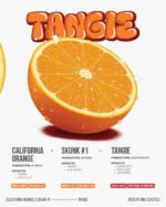 BRIX Tangie 2g Disposable Vape | Citrus Live Resin Vape Pen