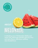 Brix 2g Disposable Vape – Melonade Flavor