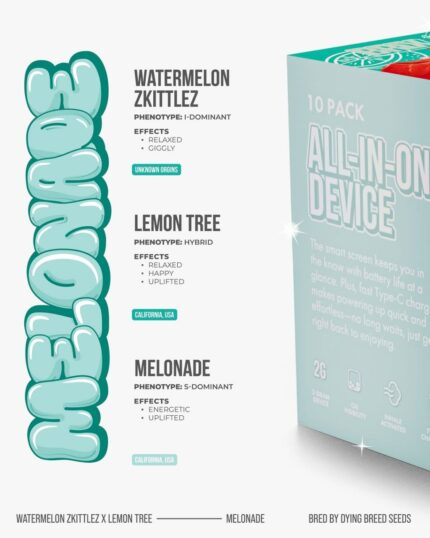 Brix 2g Disposable Vape – Melonade Flavor