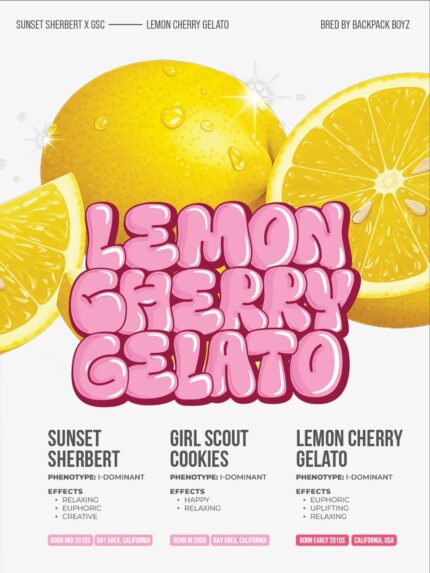 Brix 2g Disposable Vape – Lemon Cherry Gelato Flavor