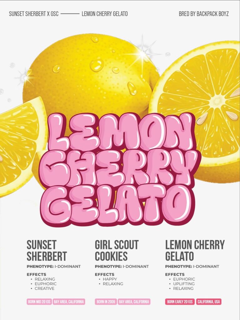 Brix 2g Disposable Vape – Lemon Cherry Gelato Flavor