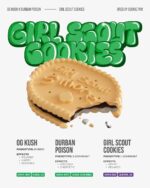 Brix 2g Disposable Vape Girl Scout Cookies GSC Flavor | Live Resin Liquid Diamonds