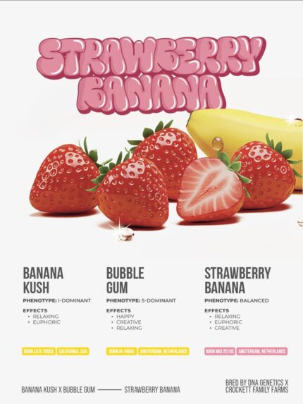 Brix 2g Disposable Vape Strawberry Banana Flavor | Live Resin Liquid Diamonds Vape