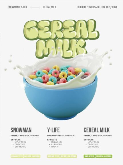 Brix 2g Disposable Vape Cereal Milk Flavor | Live Resin Liquid Diamonds Vape