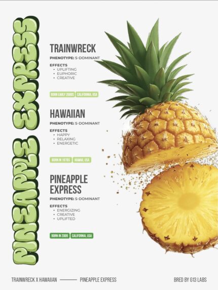 Brix 2g Disposable Pineapple Express Vape Flavor | Tropical Flavor & Smooth Hits