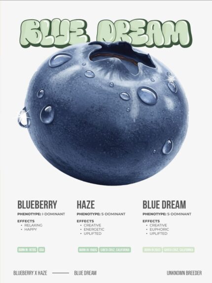 Brix 2g Disposable Blue Dream Flavor Vape | Berry Flavor & Smooth Hits