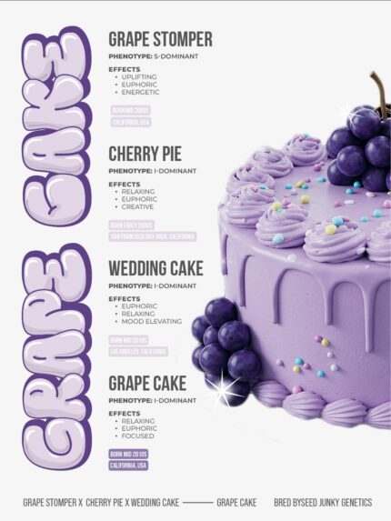 Brix 2g Disposable Vape – Grape Cake Flavor | Sweet & Relaxing Hybrid Vape